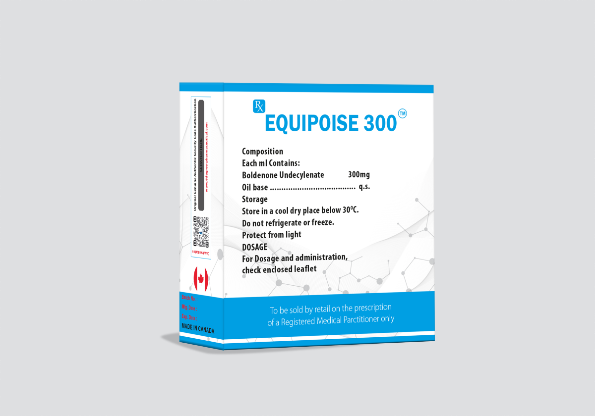 EQUIPOISE 300 - Image 3